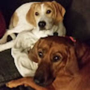 Meet your Posher, Nicholas